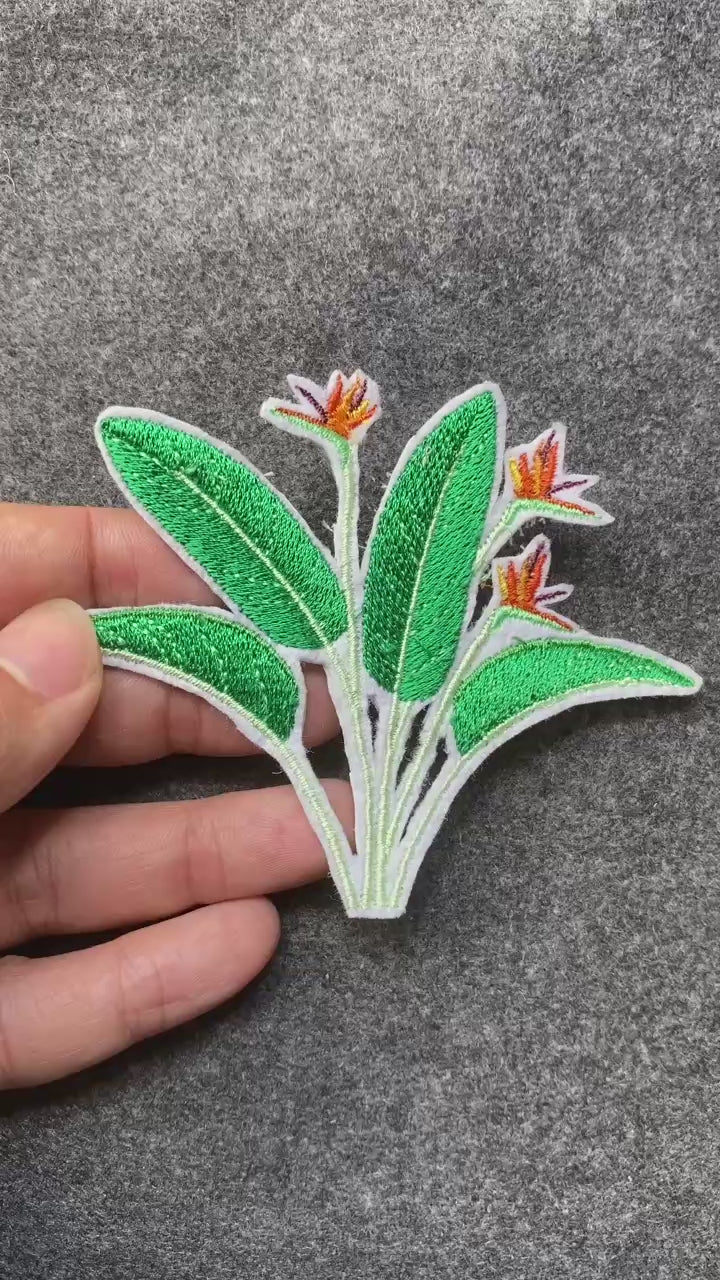 Tropical Bird of Paradise Leaf Patch