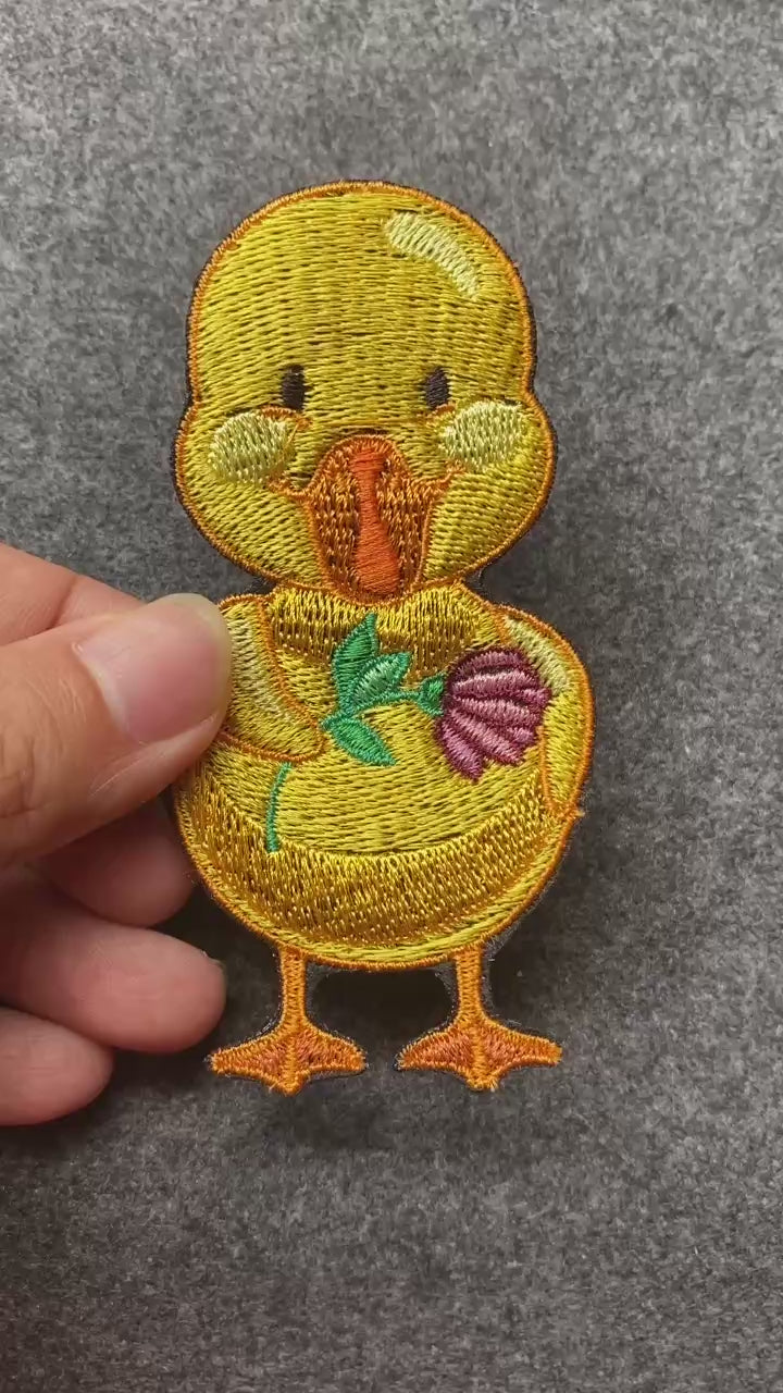 Duck with Flower Patch