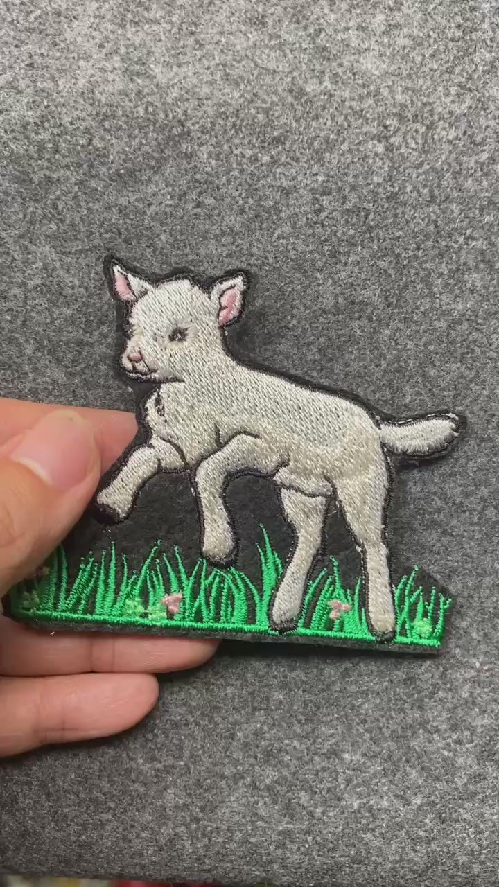 Lamb in the Grass Patch