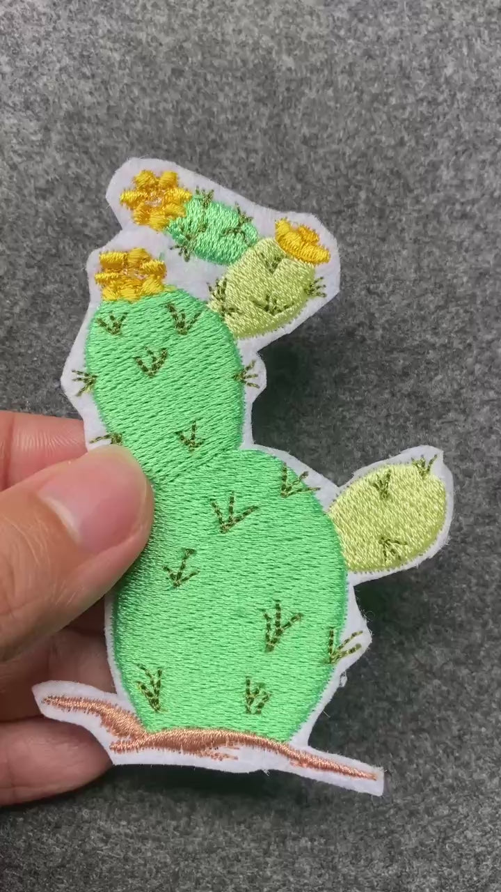 Blooming Cactus Patch